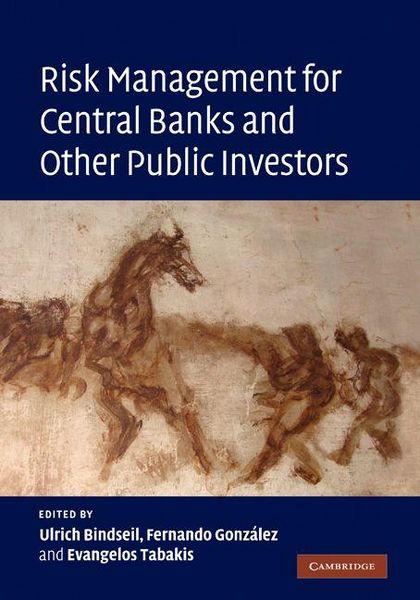 Produktbild: Risk Management for Central Banks and Other Public Investors