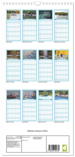 Produktbild: Familienplaner 2026 - Nilpferde, Kolosse in Afrika mit 5 Spalten (Wandkalender, 21 x 45 cm) CALVENDO
