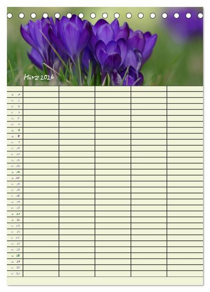 Produktbild: Kleine Natursch&ouml;nheiten (Tischkalender 2026 DIN A5 hoch), CALVENDO Monatskalender