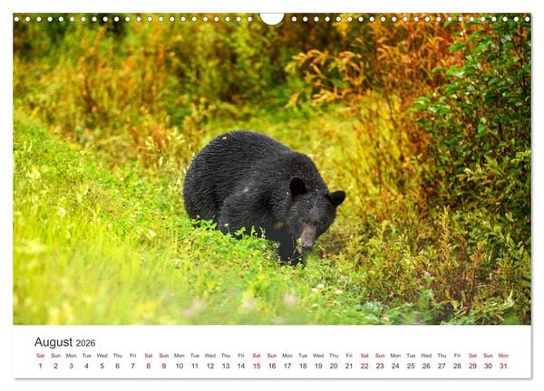 Produktbild: Yukon Wild (Wall Calendar 2026 DIN A3 landscape), CALVENDO 12 Month Wall Calendar