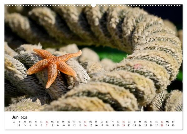 Produktbild: Maritime Impressionen Wilhelmshaven (hochwertiger Premium Wandkalender 2026 DIN A2 quer), Kunstdruck in Hochglanz