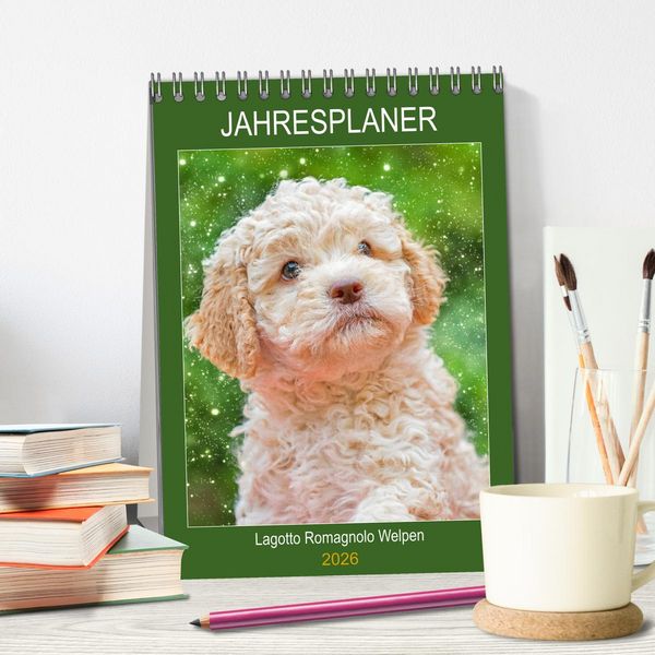 Produktbild: Jahresplaner Lagotto Romagnolo Welpen (Tischkalender 2026 DIN A5 hoch), CALVENDO Monatskalender