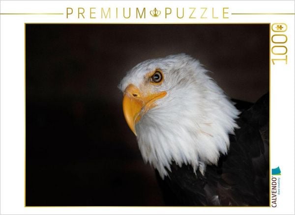Produktbild: CALVENDO Puzzle Ein Motiv aus dem Kalender Greifv&ouml;gel und Eulen | 1000 Teile Lege-Gr&ouml;&szlig;e 64x48cm Foto-Puzzle f&uuml;r gl&uuml;ckliche Stunden