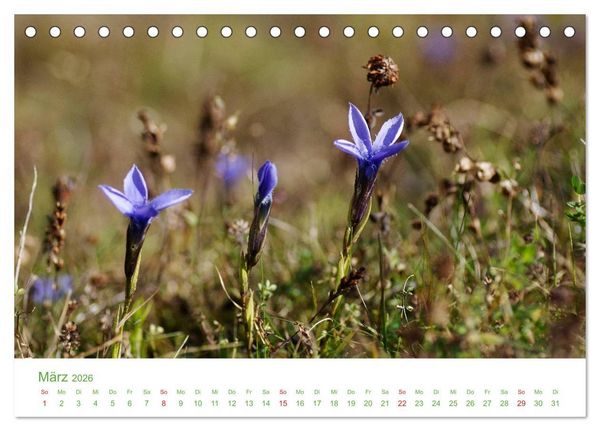 Produktbild: Bergwelt in &Ouml;sterreich (Tischkalender 2026 DIN A5 quer), CALVENDO Monatskalender