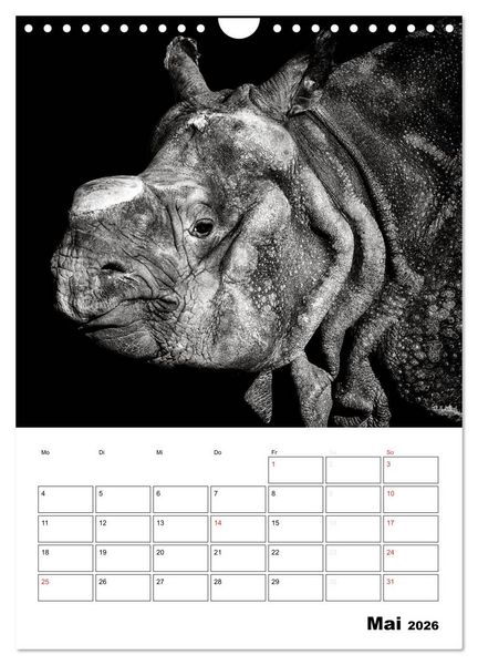 Produktbild: Charakterk&ouml;pfe aus der Welt der Tiere (Wandkalender 2026 DIN A4 hoch), CALVENDO Monatskalender