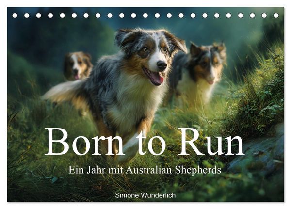 Produktbild: Born to run - Ein Jahr mit Australian Shepherds (Tischkalender 2027 DIN A5 quer), CALVENDO Monatskalender