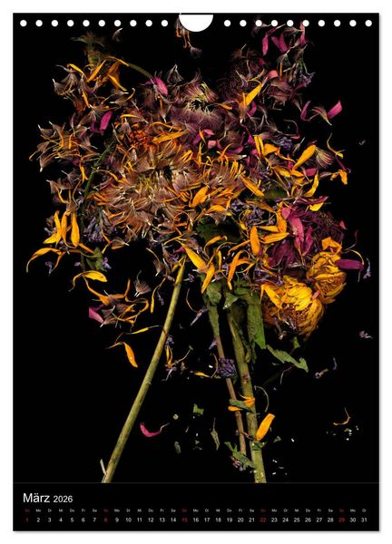Produktbild: Blumen bei Nacht (Wandkalender 2026 DIN A4 hoch), CALVENDO Monatskalender