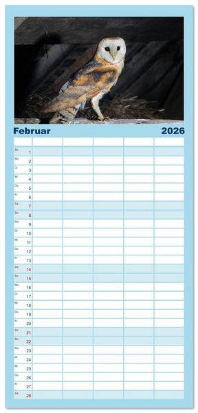 Produktbild: Familienplaner 2026 - Das Leben der Eulen, die Damen der Nacht mit 5 Spalten (Wandkalender, 21 x 45 cm) CALVENDO