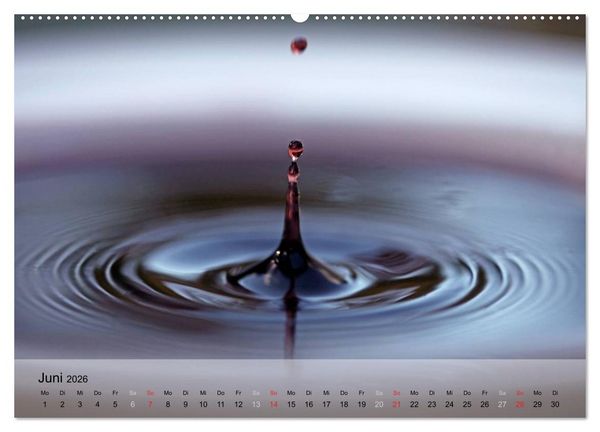 Produktbild: Wein schmeckt fein (hochwertiger Premium Wandkalender 2026 DIN A2 quer), Kunstdruck in Hochglanz