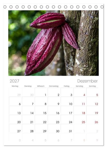 Produktbild: Tischplaner 2027 - Fr&uuml;chte der Karibik (A5 Tischkalender zum Aufstellen) CALVENDO