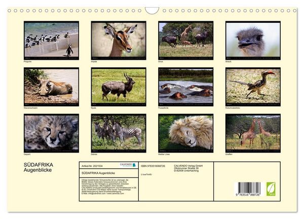 Produktbild: S&Uuml;DAFRIKA Augenblicke (Wandkalender 2026 DIN A3 quer), CALVENDO Monatskalender
