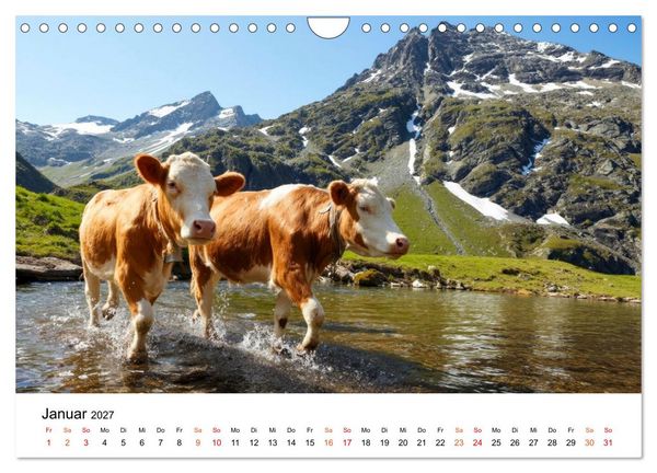 Produktbild: Bergk&uuml;he auf der Alm - Natur pur (Wandkalender 2027 DIN A4 quer), CALVENDO Monatskalender