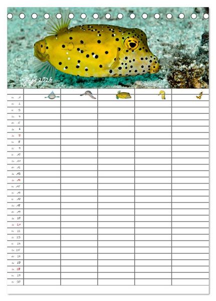 Produktbild: Der Unterwasser Familienplaner 2026 (Tischkalender 2026 DIN A5 hoch), CALVENDO Monatskalender