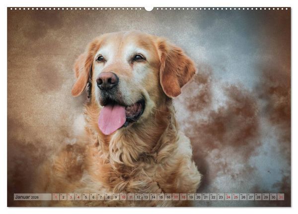 Produktbild: Jagdhunde im Portrait (hochwertiger Premium Wandkalender 2026 DIN A2 quer), Kunstdruck in Hochglanz