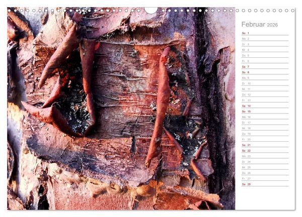 Produktbild: Abstrakte Umwelt (Wandkalender 2026 DIN A3 quer), CALVENDO Monatskalender