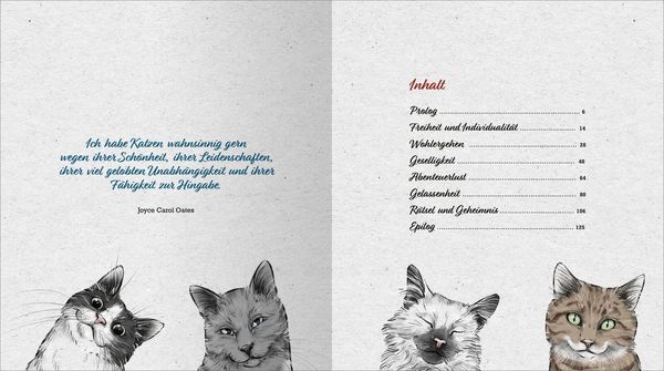 Produktbild: Kleine Katzenphilosophie