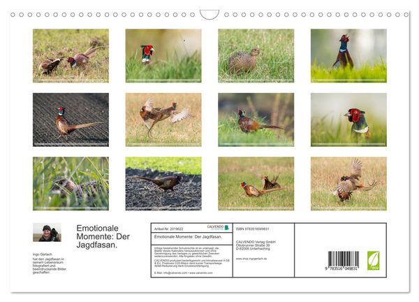 Produktbild: Emotionale Momente: Der Jagdfasan. (Wandkalender 2026 DIN A3 quer), CALVENDO Monatskalender