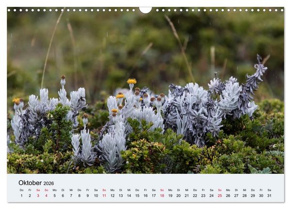 Produktbild: Feuerland - Am Puls der Wildnis (Wandkalender 2026 DIN A3 quer), CALVENDO Monatskalender