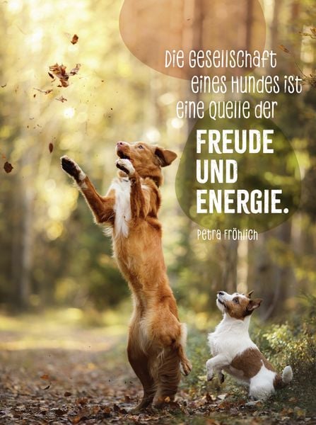 Produktbild: Hunde sind die besten Freunde