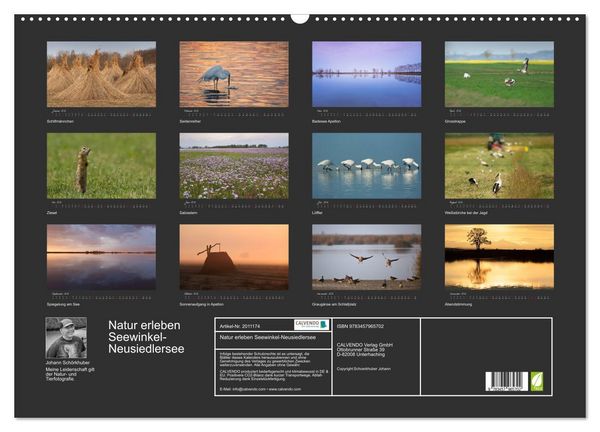 Produktbild: Natur erleben Seewinkel-Neusiedlersee (Wandkalender 2026 DIN A2 quer), CALVENDO Monatskalender