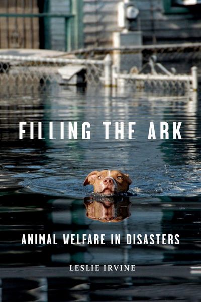 Produktbild: Filling the Ark