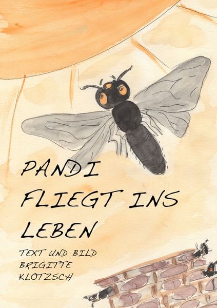 Produktbild: Pandi fliegt ins Leben
