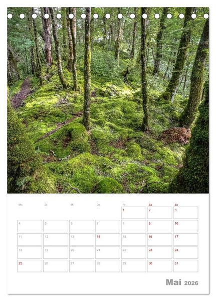 Produktbild: Kalenderplaner g'day Neuseeland 2026 (Tischkalender 2026 DIN A5 hoch), CALVENDO Monatskalender