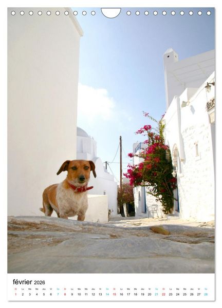 Produktbild: Souvenirs de Gr&egrave;ce (Calendrier mural 2026 DIN A4 horizontal), CALVENDO calendrier mensuel