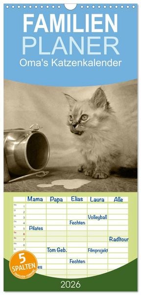 Familienplaner 2026 - Oma's Katzenkalender 2026 mit 5 Spalten (Wandkalender, 21 x 45 cm) CALVENDO
