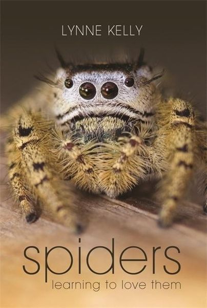 Produktbild: Spiders