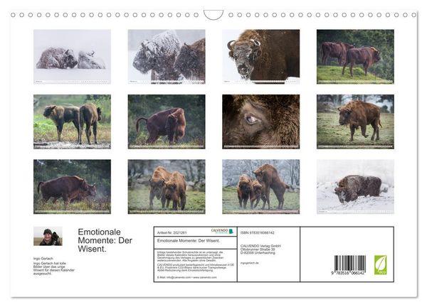 Produktbild: Emotionale Momente: Der Wisent. (Wandkalender 2026 DIN A3 quer), CALVENDO Monatskalender