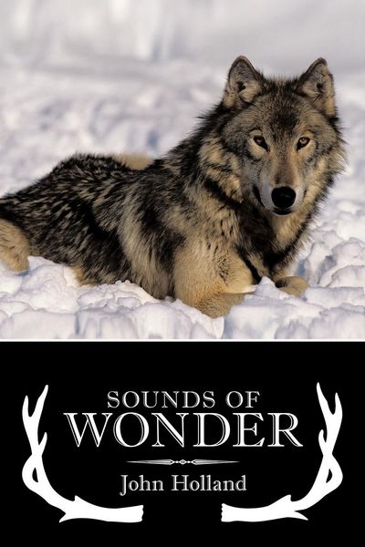 Produktbild: Sounds of Wonder