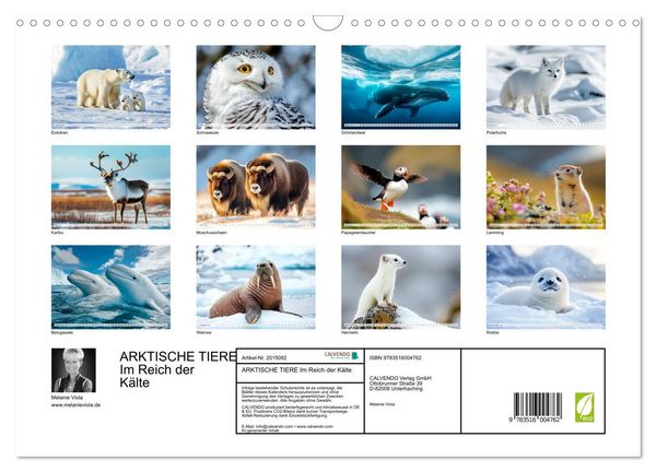 Produktbild: ARKTISCHE TIERE Im Reich der K&auml;lte (Wandkalender 2026 DIN A3 quer), CALVENDO Monatskalender