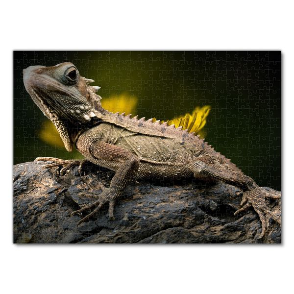 Produktbild: Lais Puzzle Walddrache 500 Teile