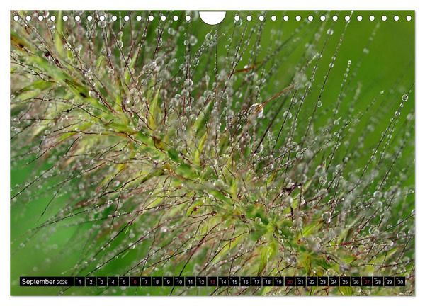 Produktbild: Wassertropfen - Diamanten des Lebens (Wandkalender 2026 DIN A4 quer), CALVENDO Monatskalender