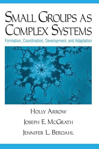 Produktbild: Small Groups as Complex Systems