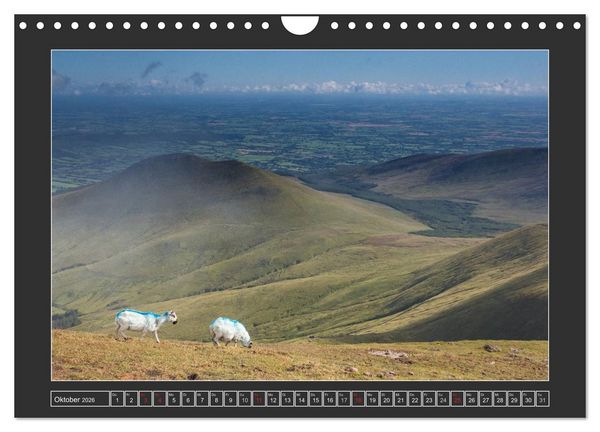 Produktbild: IRLAND - Insel der gl&uuml;cklichen Schafe (Wandkalender 2026 DIN A4 quer), CALVENDO Monatskalender