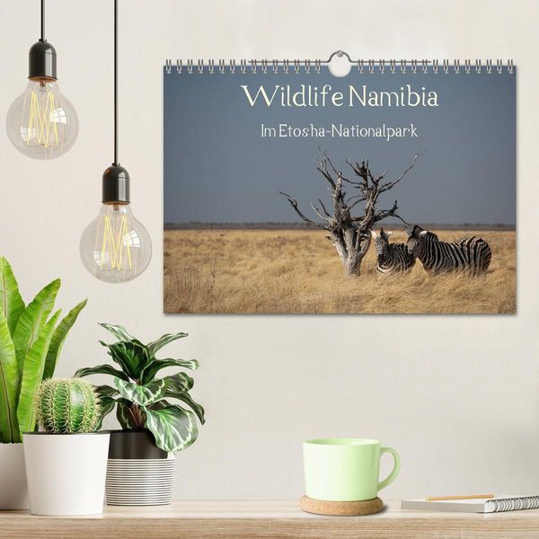 Produktbild: Wildlife Namibia (Wandkalender 2026 DIN A4 quer), CALVENDO Monatskalender