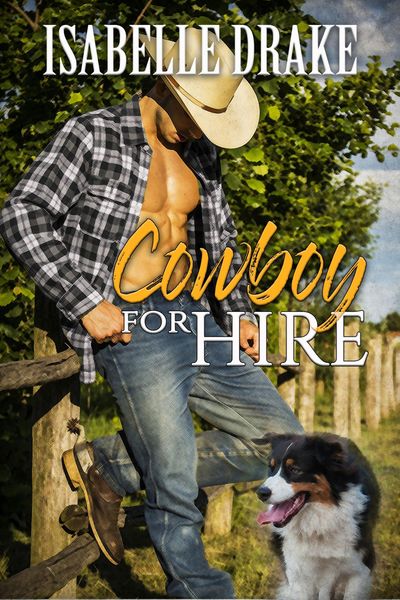 Produktbild: Cowboy for Hire