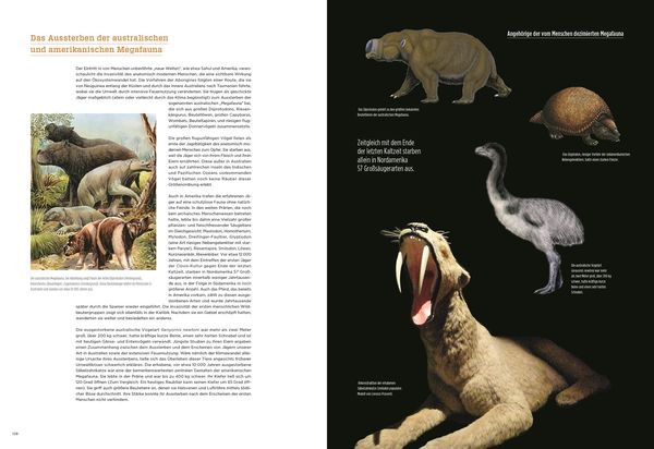Produktbild: Homo Sapiens