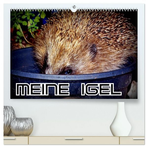 Produktbild: Meine Igel (hochwertiger Premium Wandkalender 2026 DIN A2 quer), Kunstdruck in Hochglanz