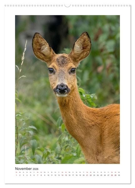 Produktbild: Tierisches Wien (hochwertiger Premium Wandkalender 2026 DIN A2 hoch), Kunstdruck in Hochglanz