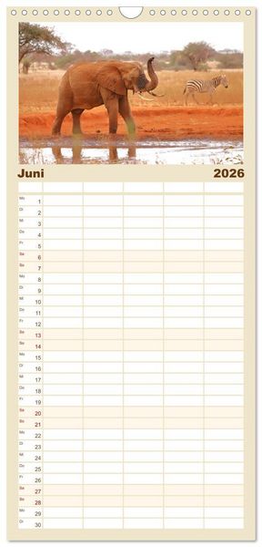 Produktbild: Familienplaner 2026 - Kenias wilde Elefanten mit 5 Spalten (Wandkalender, 21 x 45 cm) CALVENDO