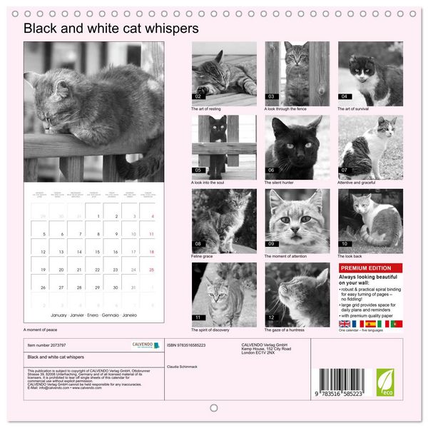 Produktbild: Black and white cat whispers (Wall Calendar 2026 12 &times; 12 Inch) CALVENDO 12 Month Wall Calendar