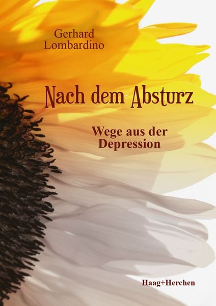 Produktbild: Nach dem Absturz