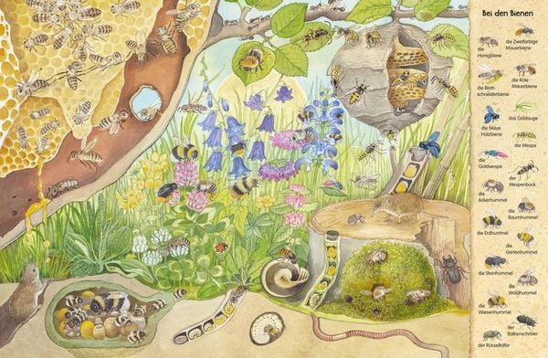 Produktbild: Mein erstes Wimmelbuch: Krabbeltiere in Feld, Wald und Wiese