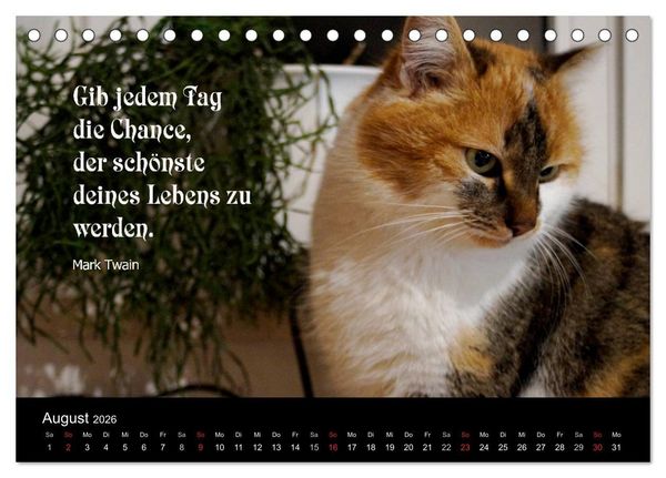 Produktbild: Gl&uuml;ckskatze - Mit Zitaten zum Thema Gl&uuml;ck (Tischkalender 2026 DIN A5 quer), CALVENDO Monatskalender