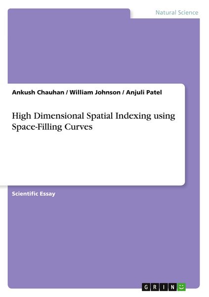 Produktbild: High Dimensional Spatial Indexing using Space-Filling Curves