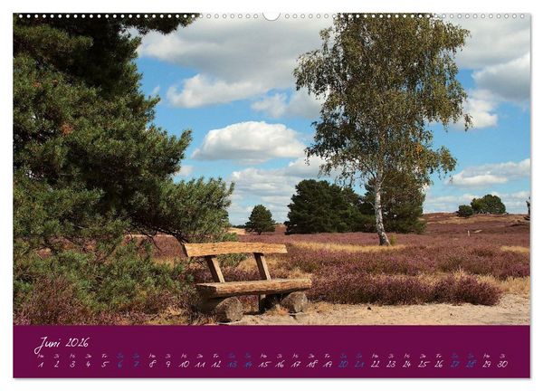 Produktbild: Die Nemitzer Heide - Im Wendland unterwegs (Wandkalender 2026 DIN A2 quer), CALVENDO Monatskalender
