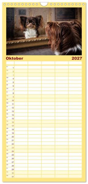 Produktbild: Familienplaner 2027 - Chihuahuas - Cool and Cute mit 5 Spalten (Wandkalender, 21 x 45 cm) CALVENDO